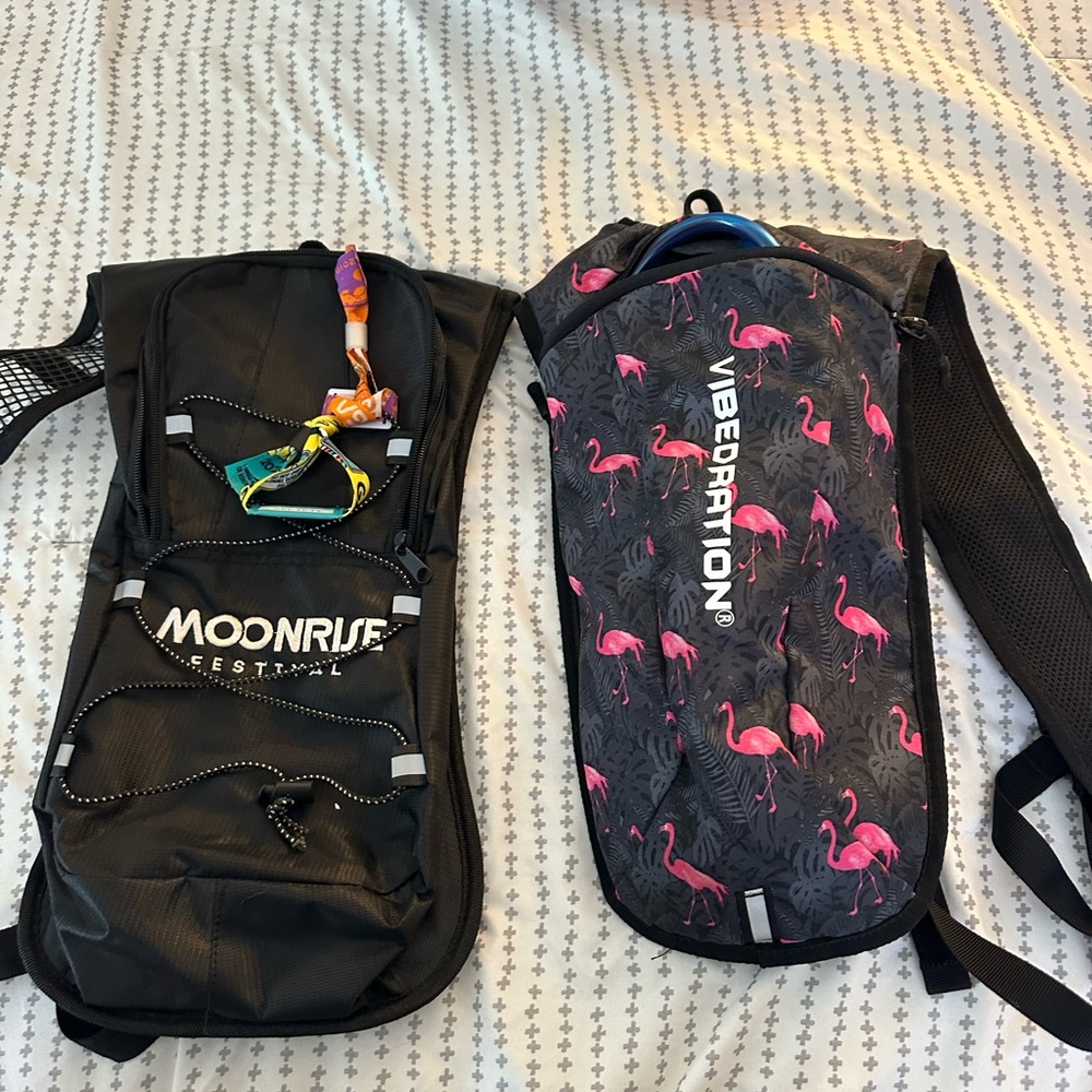 Black and Pink Flamingo Hydration Pack